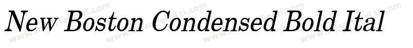 New Boston Condensed Bold Italic字体转换